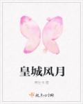 小说：皇城风月，作者：两生书