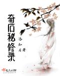 小说：奇石秘修录，作者：洛知月