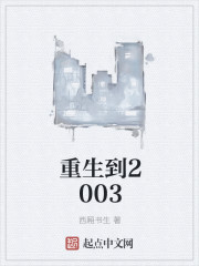 小说：重生到2003，作者：西厢书生