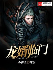 小说：龙婿临门，作者：小霸王