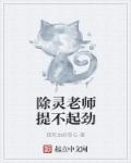 小说：除灵老师提不起劲，作者：猫死由好奇心