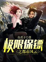 小说：极限保镖之都市风云，作者：真君子