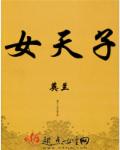 小说：女天子，作者：英兰