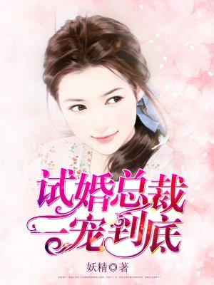 小说：试婚总裁一宠到底，作者：妖精