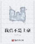 小说：我真不是土豪，作者：流潋火