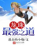 小说：龙珠：最强之道，作者：进击的小炮