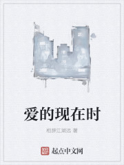 小说：爱的现在时，作者：相辞江湖远
