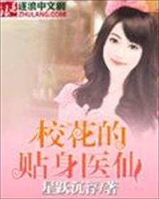 小说：校花的贴身医仙，作者：星跃沉浮