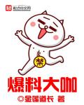 小说：爆料大咖，作者：金莲道长