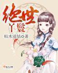 小说：绝世丫鬟，作者：枯木道姑