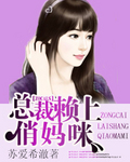 小说：总裁赖上俏妈咪，作者：苏爱希澈