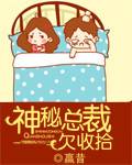 小说：神秘总裁欠收拾，作者：嬴昔