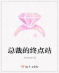 小说：总裁的终点站，作者：艾特安琪