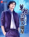 小说：草根全能大明星，作者：无酒