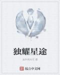小说：独耀星途，作者：油炸鸡米花