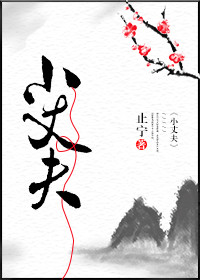 小说：小丈夫，作者：止宁