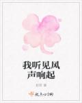 小说：我听见风声响起，作者：即若