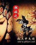 小说：韩娱之戏子，作者：冬驦
