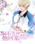 小说：钻石男神抱回家，作者：丑彤