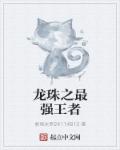 小说：龙珠之最强王者，作者：紫雨冰罗24114813
