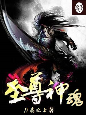 小说：至尊神魂，作者：月亮之上