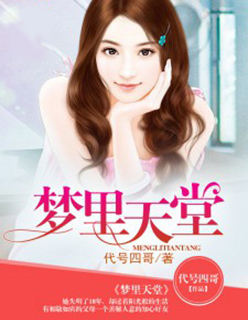 小说：梦里天堂，作者：代号四哥