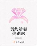 小说：契约娇妻你别跑，作者：顾筱玖