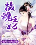 小说：摄魂王妃，作者：云轻冉冉