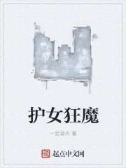 小说：护女狂魔，作者：一定会火