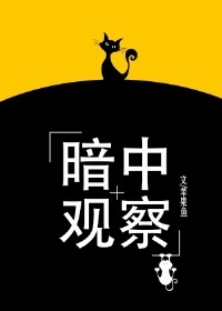 小说：暗中观察[娱乐圈]，作者：苹果鱼