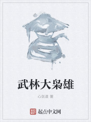 小说：武林大枭雄，作者：心剑道