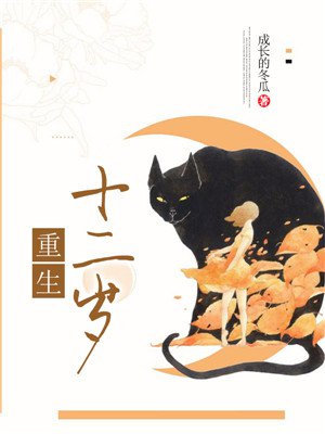 小说：重生十二岁，作者：成长的冬瓜