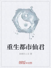 小说：重生都市仙君，作者：发春的土豆