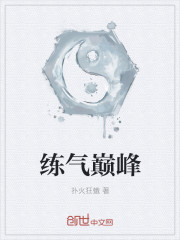 小说：练气巅峰，作者：扑火狂蛾