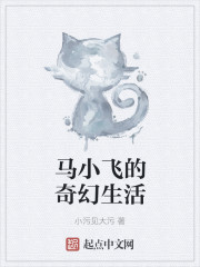 小说：马小飞的奇幻生活，作者：小污见大污