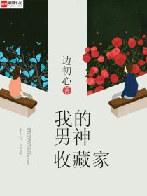 小说：我的男神收藏家，作者：边初心