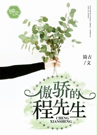 小说：傲娇的程先生，作者：简古