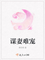 小说：谋妻难宠，作者：景初绣