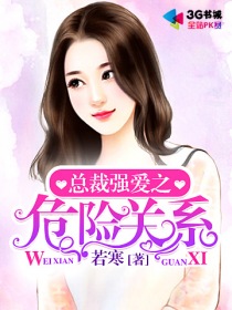 小说：总裁强爱之危险关系，作者：若寒