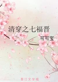 小说：清穿之七福晋，作者：可可宝