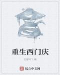 小说：重生西门庆，作者：泊客阿飞