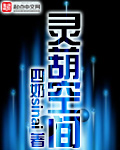 小说：灵葫空间，作者：四奶sinai