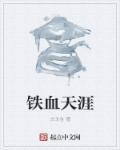 小说：铁血天涯，作者：古戈金
