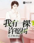 小说：我有一棵许愿树，作者：石子牧