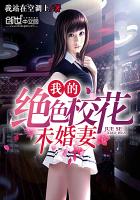 小说：我的绝色校花未婚妻，作者：我站在空调上