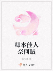 小说：卿本佳人奈何贼，作者：白可墨