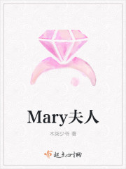 小说：Mary夫人，作者：木柒少爷