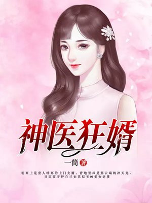 小说：神医狂婿，作者：一筒