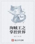 小说：海贼王之掌控世界，作者：缠月千里