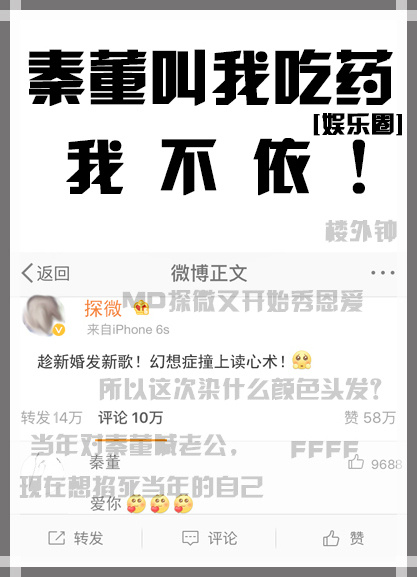 小说：秦董叫我吃药我不依[娱乐圈]，作者：楼外钟
